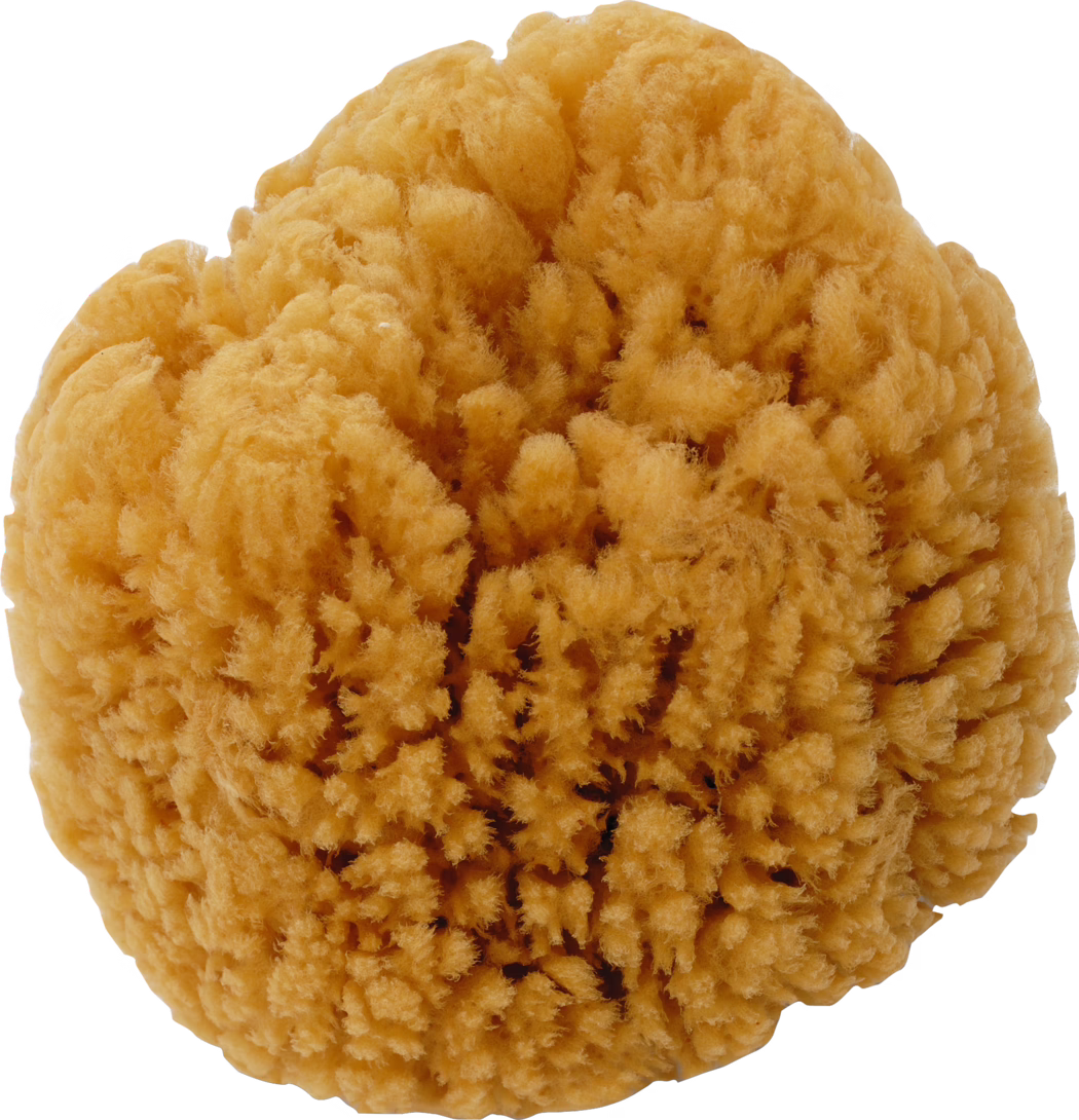 Une éponge marine ronde et duveteuse de couleur jaune-orange vive, caractérisée par ses fibres densément entassées qui créent une surface douce et texturée. L'éponge semble avoir une forme irrégulière avec des imperfections naturelles, montrant la nature organique de sa structure. L'apparence générale est à la fois visuellement attrayante et tactile, suggérant son utilisation dans diverses applications telles que le bain ou le nettoyage.